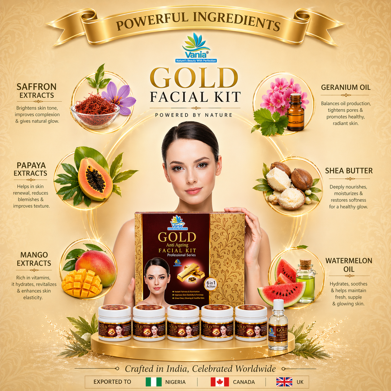 Vania Gold Facial Kit 300G + Diamond Bleach Cream Activator 250G (2-Item Set) - Nature's Gold Facial Kit & Diamond Bleach Cream for Face